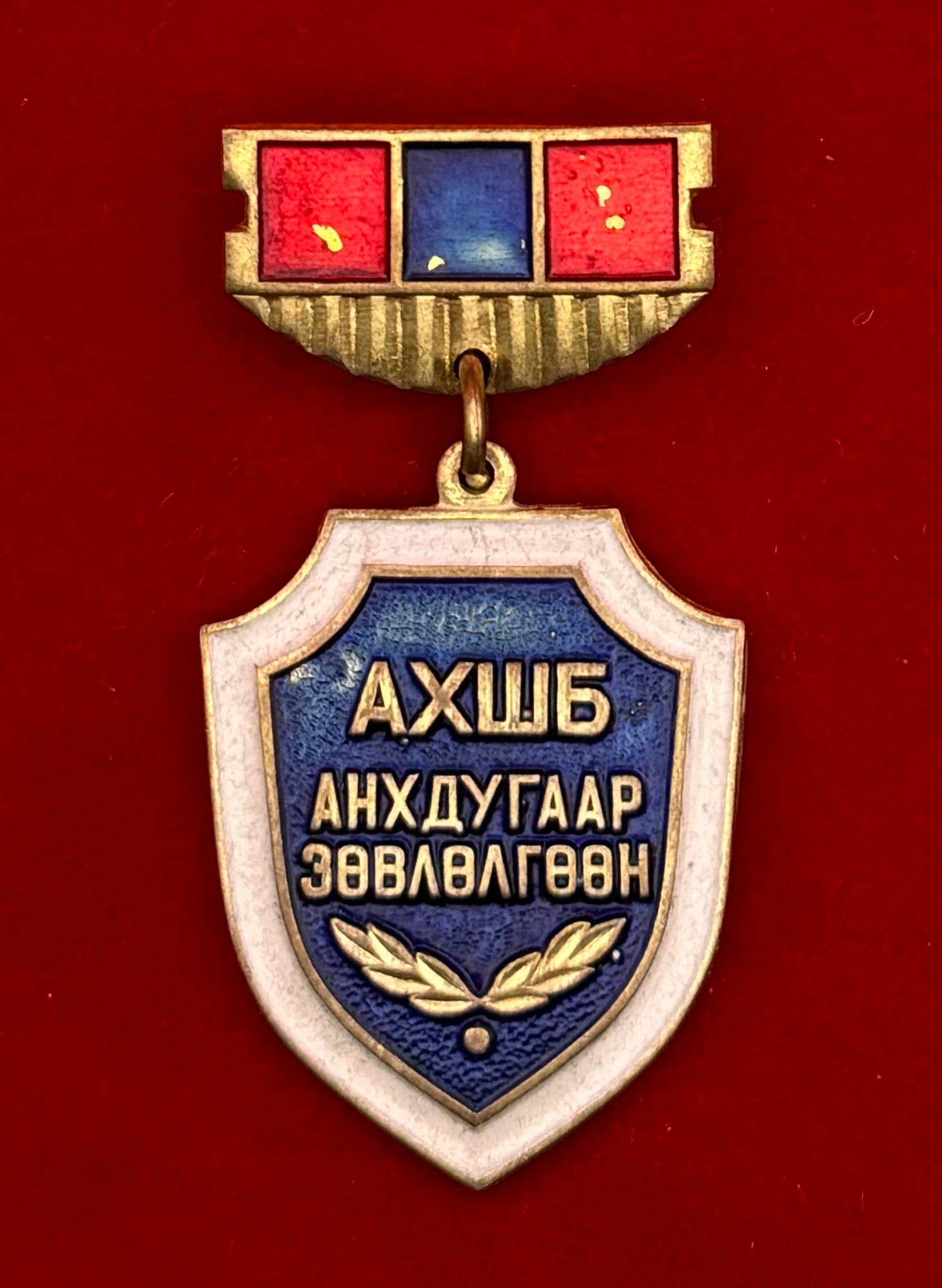Mongolian People's Oversight Agency First Consultation Badge